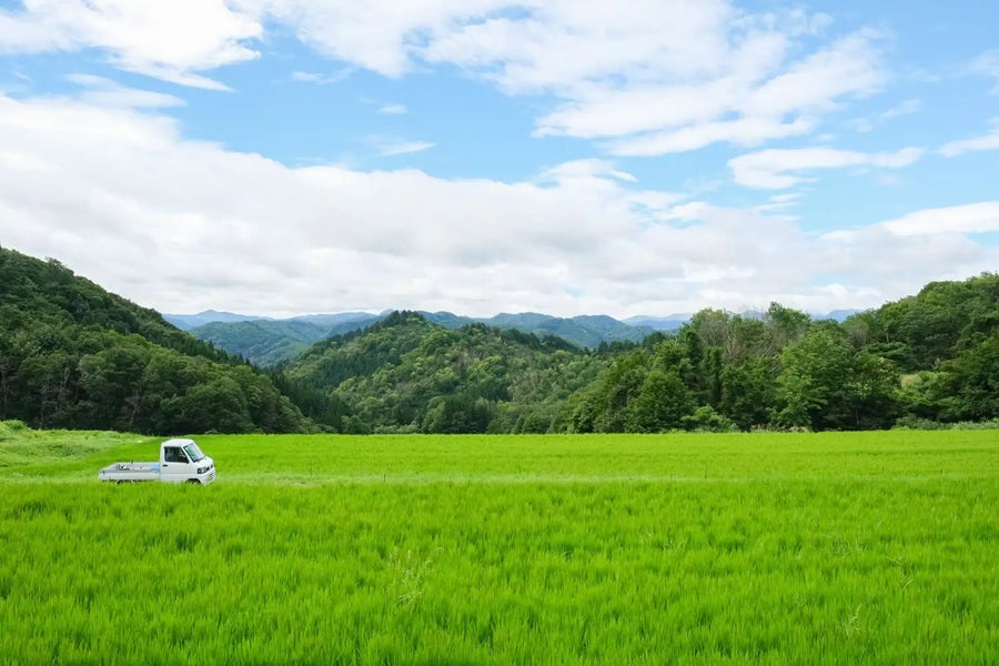 只見の田園と山並み
